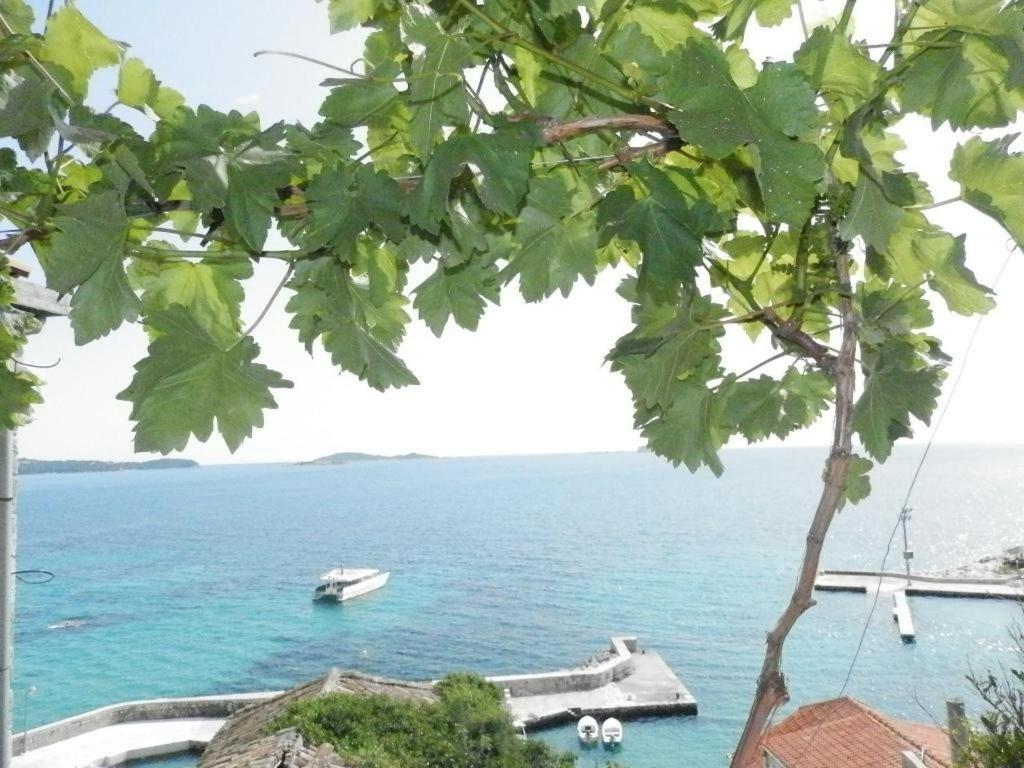 Villa Soti Mlini Exterior photo